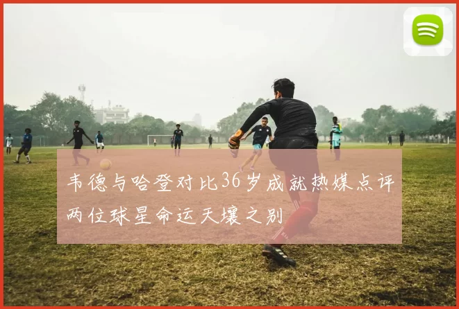 韦德与哈登对比36岁成就热媒点评两位球星命运天壤之别